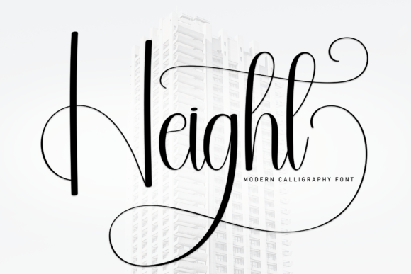 Height: A Bold Display Typeface