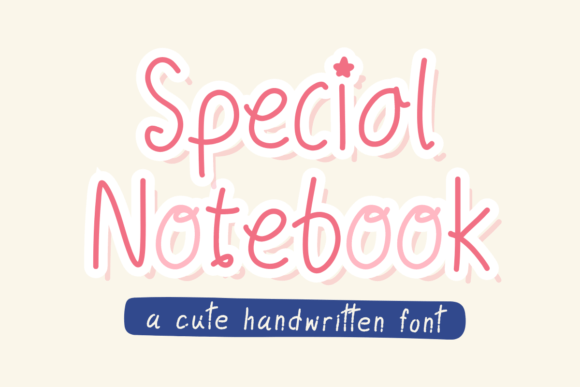 Special Notebook Review